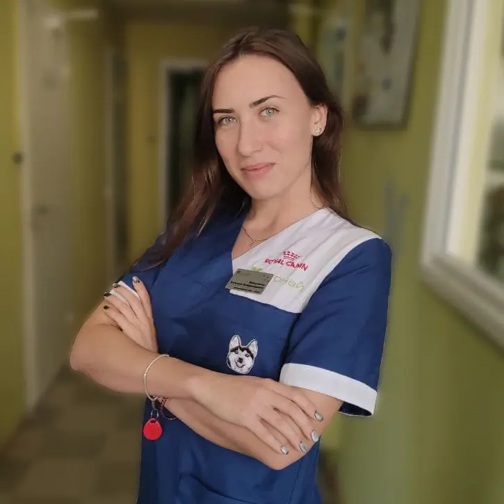 Ангелина Мойстренко, ветеринарный врач